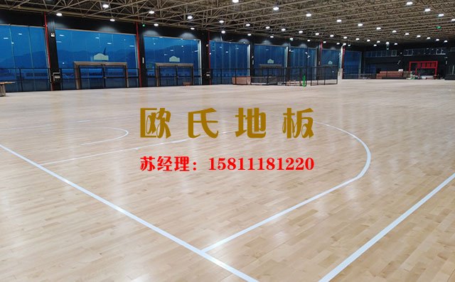 體育場(chǎng)館的檔次已與運(yùn)動(dòng)木地板分不開——?dú)W氏地板