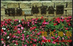 夏天炎熱雨季來臨，專業(yè)運動木地板該怎樣維護