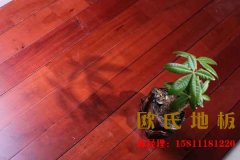 我們真正了解羽毛球運(yùn)動(dòng)木地板嗎，知道它的優(yōu)勢(shì)在哪嗎