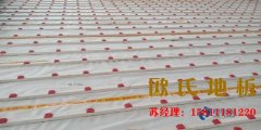 西安籃球場(chǎng)地板牌子有哪些