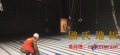 淺析運動木地板的三大特性、六項指標(biāo)